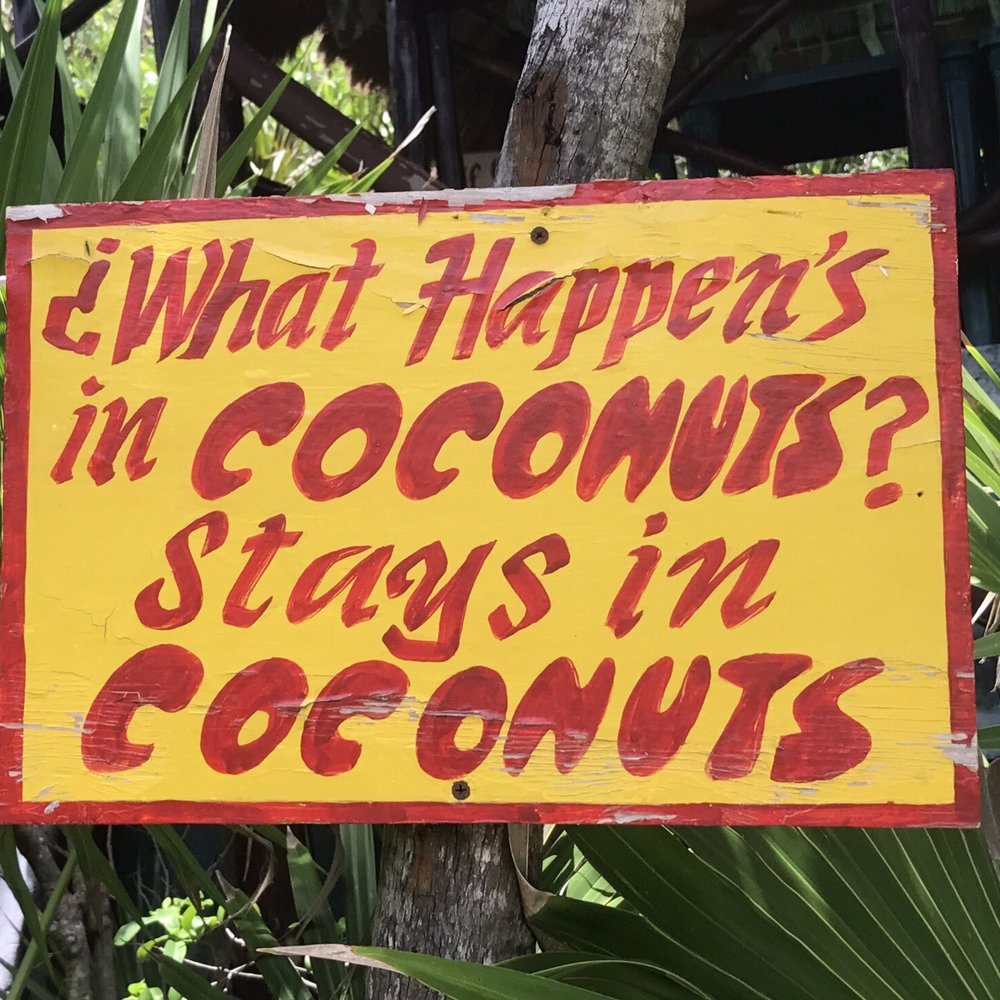 Coconuts Bar & Grill - Bars Near Me - Cozumel, ROO Coconuts Bar & Grill - Bars Near Me - Cozumel, ROO