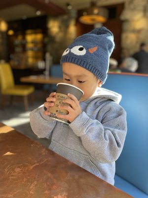 The Ahwahnee by null