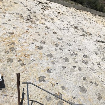 Dinosaur Ridge - Dinosaur tracks - Museums Near Me - Morrison, Colorado