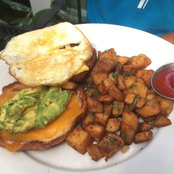 Eli's Table - Avocado Toast Egg Sandwich - Southern Near Me - Charleston, South Carolina Eli's Table - Avocado Toast Egg Sandwich - Southern Near Me - Charleston, South Carolina