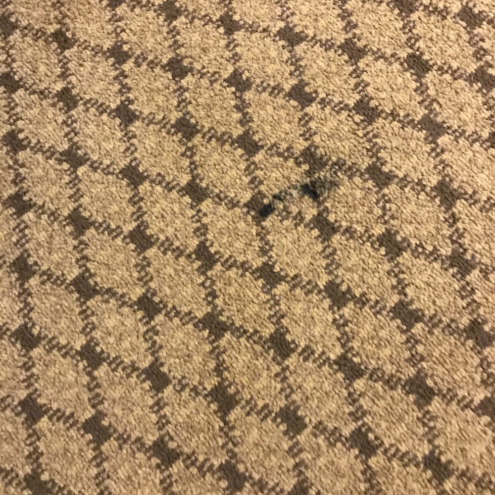 Quality Inn & Suites Morrow Atlanta South - Another spot on carpet couldn't walk pare foot too nasty - Hotels Near Me - Morrow, Georgia Quality Inn & Suites Morrow Atlanta South - Another spot on carpet couldn't walk pare foot too nasty - Hotels Near Me - Morrow, Georgia