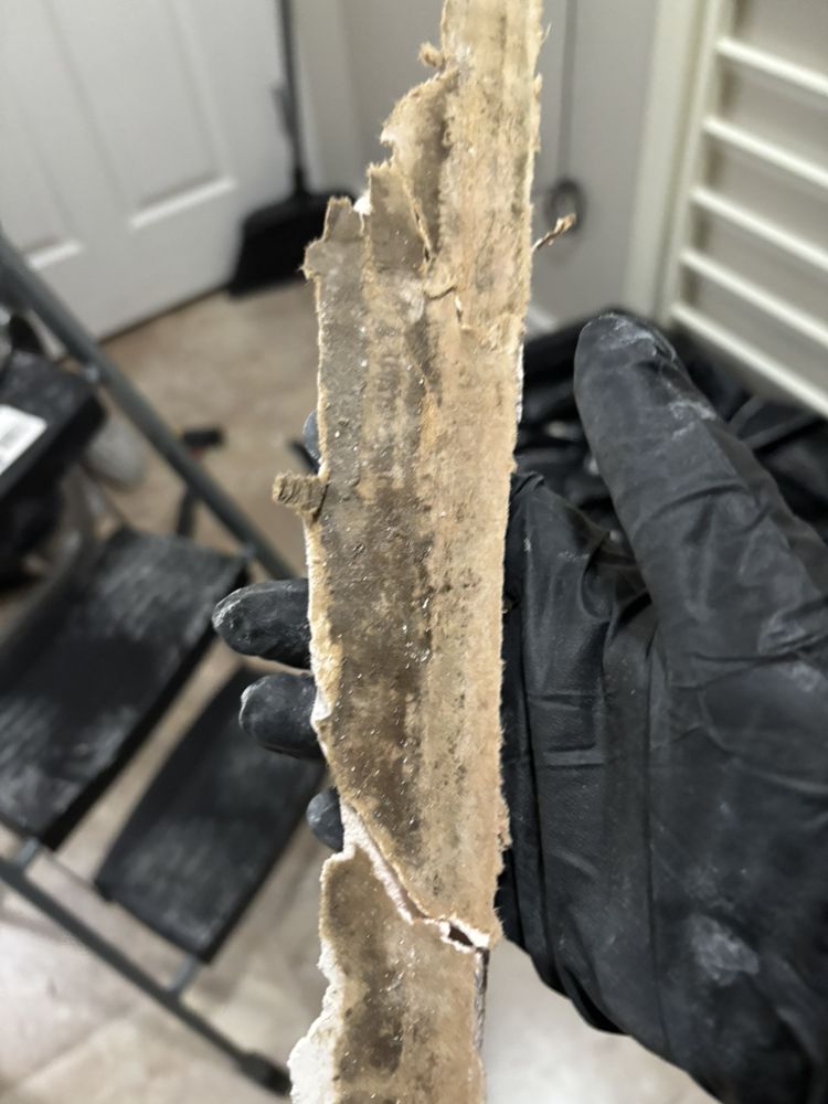 Fuentes Environmental - mold inspector in Phoenix, AZ