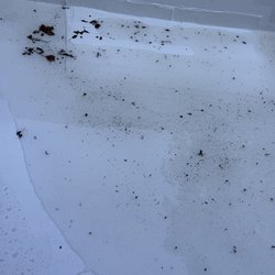 Havertown Roofing & Siding - Water just sits unless we manually move it off daily