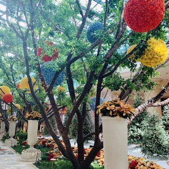 Wynn Plaza Shops - Shopping Centers Near Me - Las Vegas, Nevada