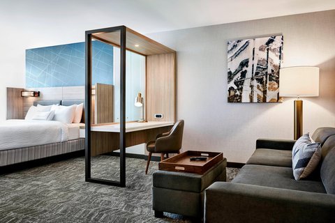 SpringHill Suites by Marriott Atlanta Northwest