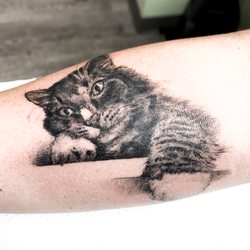 Rocky Shores Tattoo - Memorial Cat portrait. 
 Tattoo Artist: Jen Beirola
Rocky Shores Tattoo Company
Middletown, Rhode Island.
