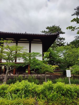 Horyu-ji by null