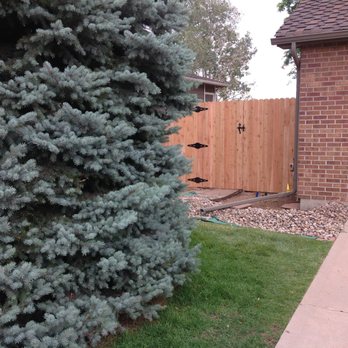 Monroe Fence Co - Front yard entry w/gate. - Fences & Gates Near Me Monroe Fence Co - Front yard entry w/gate. - Fences & Gates Near Me