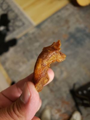 El Atacor #9 by null