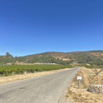 Gundlach Bundschu - This is driving up to the winery - Wineries Near Me - Sonoma, California Gundlach Bundschu - This is driving up to the winery - Wineries Near Me - Sonoma, California