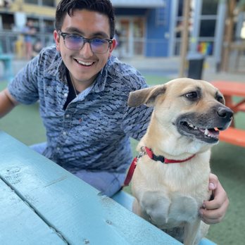 Hops & Hounds - Dog Parks Near Me - San Antonio, Texas Hops & Hounds - Dog Parks Near Me - San Antonio, Texas