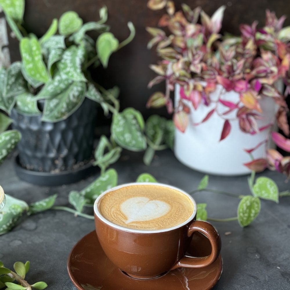 Demolition Coffee - Coconut cardamom latte - Sandwiches Near Me - Petersburg, Virginia Demolition Coffee - Coconut cardamom latte - Sandwiches Near Me - Petersburg, Virginia