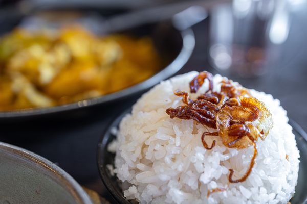 Burma Choice by null