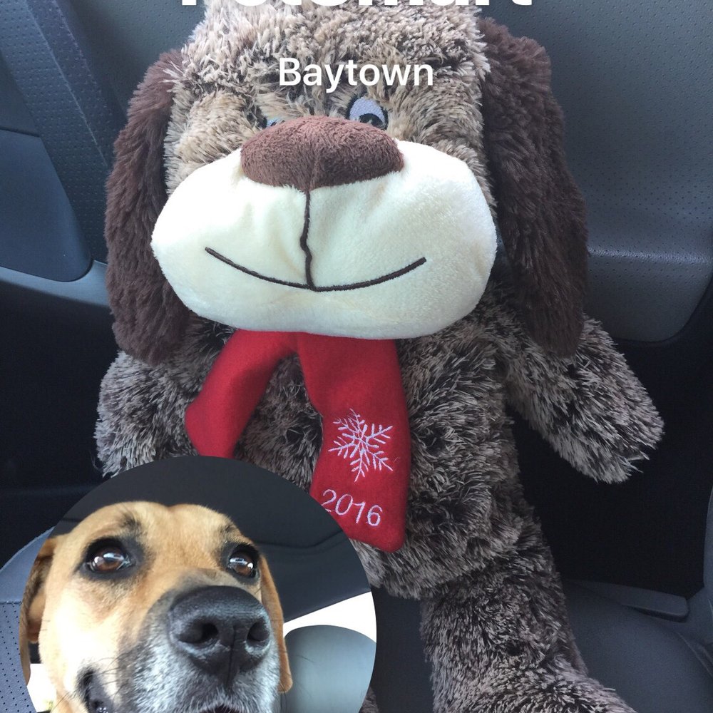 PetSmart - Pet Stores Near Me - Baytown, Texas PetSmart - Pet Stores Near Me - Baytown, Texas