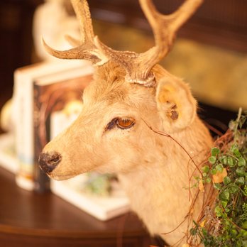Sharon House Antiques - Oh deer... - Antiques Near Me - Bainbridge, Georgia Sharon House Antiques - Oh deer... - Antiques Near Me - Bainbridge, Georgia