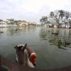 Lago dos Patos