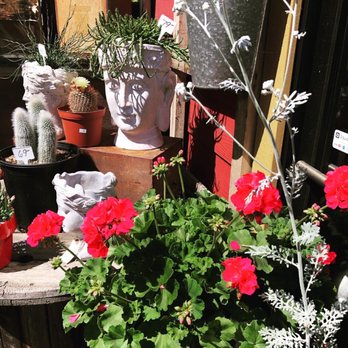 Reclaim By Design - Nurseries & Gardening Near Me - Auburn, California Reclaim By Design - Nurseries & Gardening Near Me - Auburn, California