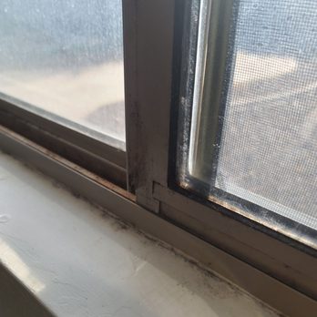 Progress Residential - More mold - Real Estate Services Near Me - Peoria, Arizona