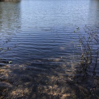 Paris Mountain State Park - Beautiful water right alongside the trails. - Lakes Near Me - Greenville, South Carolina Paris Mountain State Park - Beautiful water right alongside the trails. - Lakes Near Me - Greenville, South Carolina