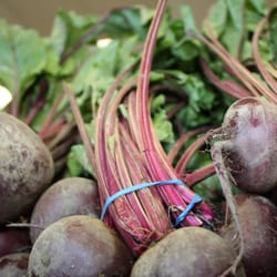 Fairless Hills Produce Center - When in season, we are able to offer beets with the stems still on them! These are very hard to find anywhere else!