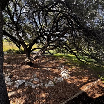 Arboretum Duck Pond - Parks Near Me - Austin, Texas