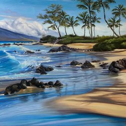 Diane Snoey Appler Fine Art - New Original - Maui Morning Beach