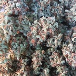 Strictly Humboldt - Best Weed Delivery