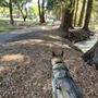 Photo of Shoup Park