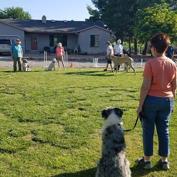 Unleashed Dog Training - group - Pet Training Near Me - Camp Verde, Arizona Unleashed Dog Training - group - Pet Training Near Me - Camp Verde, Arizona