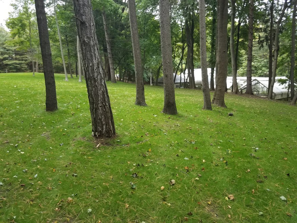 Slide of Selective Soils And Services