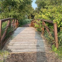Bridge to garden