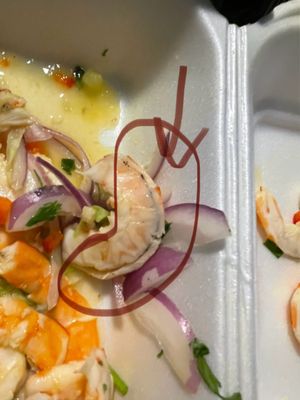 Ceviche House Orlando by null