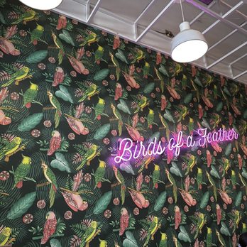 Parakeet Cafe - La Jolla - Accent wall - Coffee & Tea Near Me - La Jolla, California Parakeet Cafe - La Jolla - Accent wall - Coffee & Tea Near Me - La Jolla, California