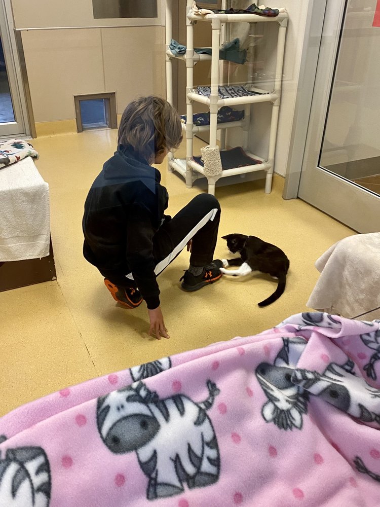 EDMONTON HUMANE SOCIETY Updated June 2024 34 Photos & 50 Reviews