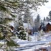 Tamarack Resort gift card