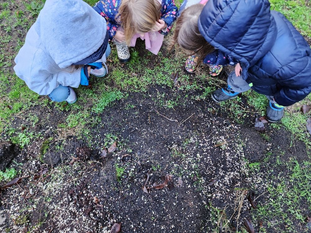 Guided Growth Early Learning - childcare center in Springfield, OR