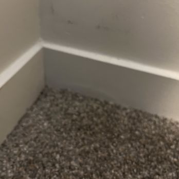 Avalon Master Builder - Damage baseboard from foundation leak - General Contractors Near Me - Calgary, Alberta Avalon Master Builder - Damage baseboard from foundation leak - General Contractors Near Me - Calgary, Alberta