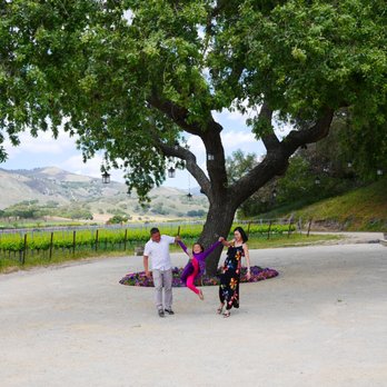 Zaca Mesa Winery - A family of 3 under the tree. - Wineries Near Me - Los Olivos, California Zaca Mesa Winery - A family of 3 under the tree. - Wineries Near Me - Los Olivos, California