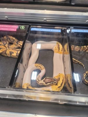 @the Grounds by null