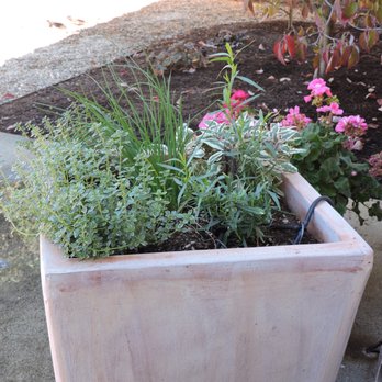 Mitchell Landscapes - Landscaping Near Me - Penngrove, California Mitchell Landscapes - Landscaping Near Me - Penngrove, California