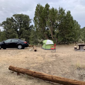 Bob Scott Campground - Plenty of spacing at each campsite. - Campgrounds Near Me - Austin, Nevada