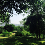 Photo of Parque Rufino Tamayo