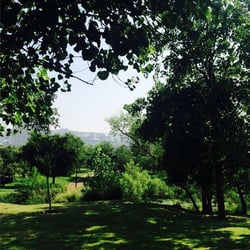 Parque Rufino Tamayo