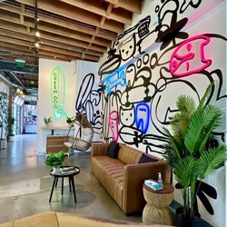 Green Dog Dental and Veterinary Center - Welcome to the newly redesigned Venice clinic, the first thing you'll see is our bright open lobby!
