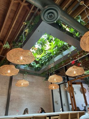 Corazon Cocina VTA by null
