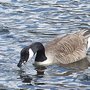 Photo of Kingsbury Water Park