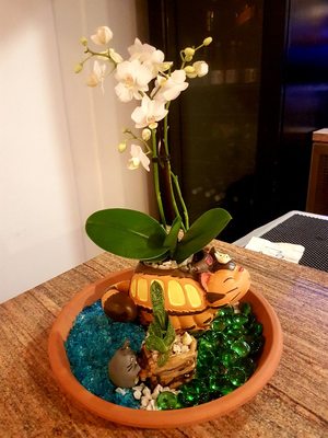 Pho Real by null