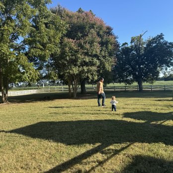 Indian Fields Tavern - The fields next to the outdoor seating! - American Near Me - Charles City, Virginia