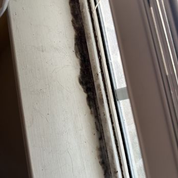 WatersEdge - Mold due to poor maintenance and water damage - Apartments Near Me - Denton, Texas WatersEdge - Mold due to poor maintenance and water damage - Apartments Near Me - Denton, Texas