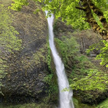 Oregon Tour Co. - 05.26.19 Horsetail Falls - Historical Tours Near Me - Portland, Oregon Oregon Tour Co. - 05.26.19 Horsetail Falls - Historical Tours Near Me - Portland, Oregon
